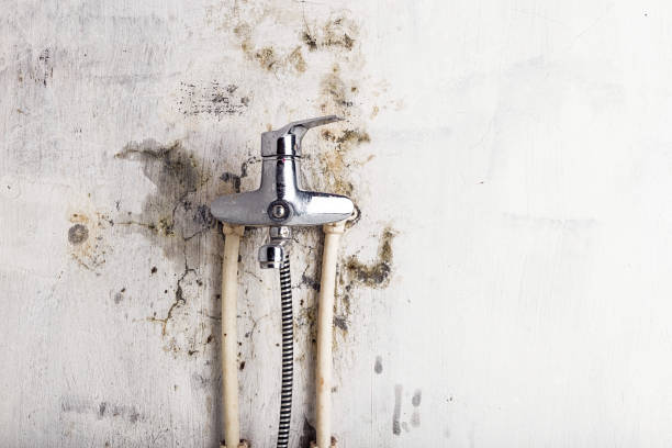 Professional Mold Removal in Shady Point, OK
