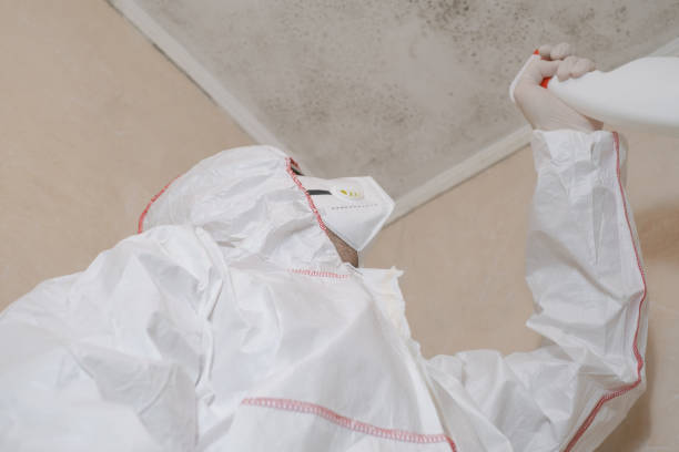 Best Mold Remediation Experts  in Shady Point, OK