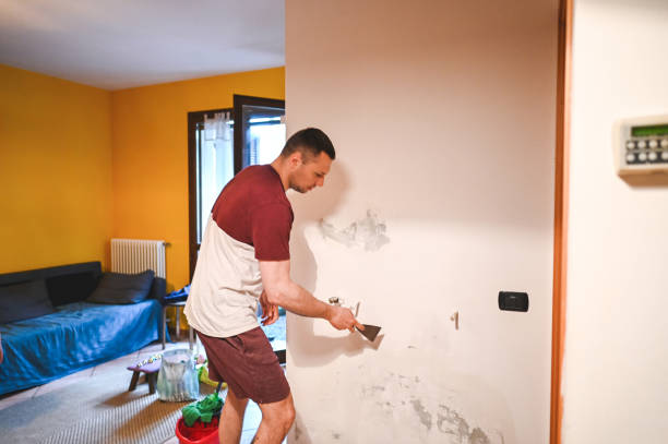 Best Mold Damage Repair  in Shady Point, OK